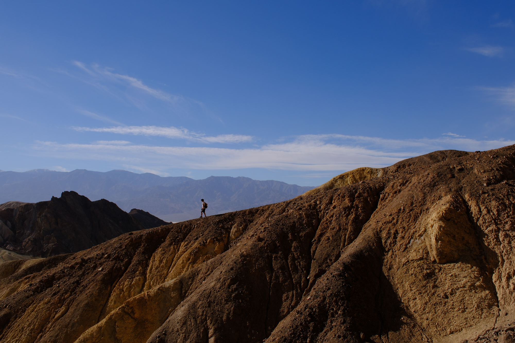 Featured artwork by Olivia Eisses